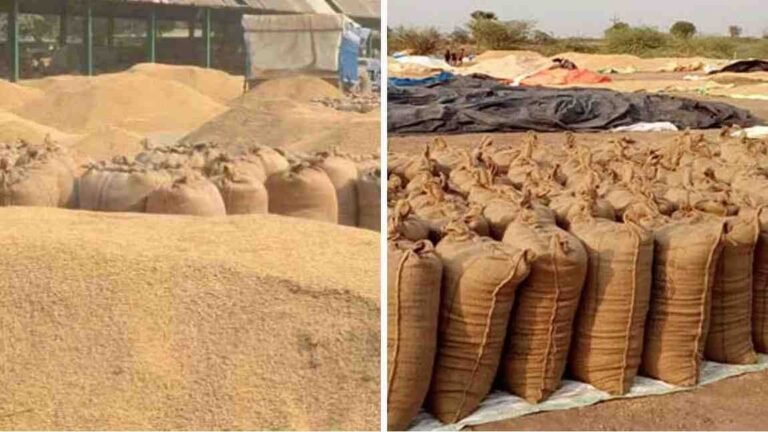 CG Breaking News : छत्तीसगढ़ के बेमेतरा जिले में धान खरीदी केंद्र से 17 करोड़ रुपये का 53 हजार क्विंटल धान गायब होने का बड़ा खुलासा