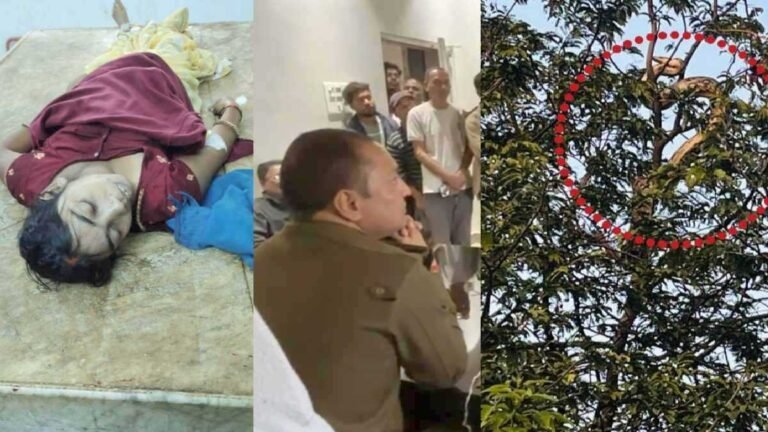 CG NEWS : कवर्धा और सरगुजा से दो बड़ी घटनाएं, एक ने झकझोरा तो दूसरी ने मचाई दहशत