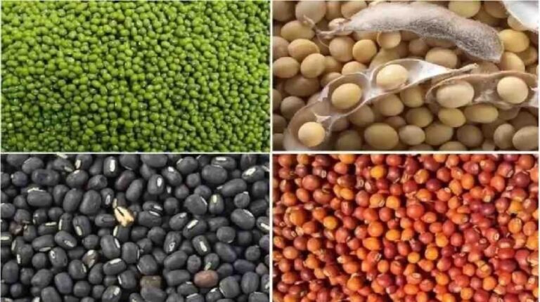 PM Modi : मोदी सरकार का बड़ा निर्णय, छत्तीसगढ़ में दाल और तिलहन फसलों की MSP पर खरीद को मंजूरी