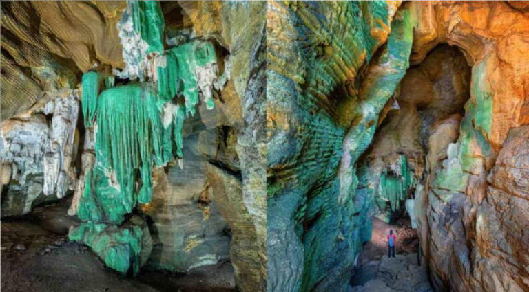 Kanger Ghati National Park : कांगेर घाटी में मिली अनोखी ‘ग्रीन गुफा’, पर्यटन मानचित्र में जुड़ेगा नया आकर्षण