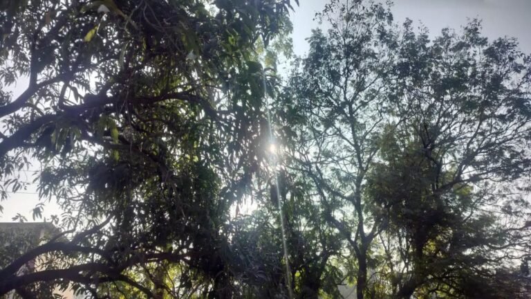 छत्तीसगढ़ में कड़ाके की ठंड का कहर, रायपुर समेत कई जिलों में कोल्ड वेव जारी