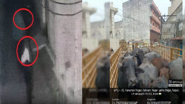 RAIPUR NEWS : रायपुर में देर रात गैंगवार, एक युवक की मौत, दूसरा गंभीर; CCTV फुटेज आया सामने, वहीं भाठागांव में डेयरी पर नगर निगम की कार्रवाई RAIPUR NEWS