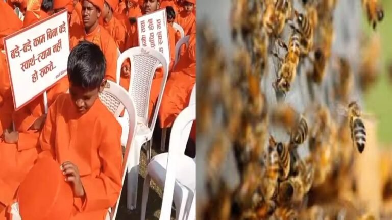 Chhattisgarh : भाषण के बीच ‘आफत’, मधुमक्खियों के झुंड ने किया हमला, केंद्रीय मंत्री और डिप्टी सीएम को छोड़ना पड़ा मंच