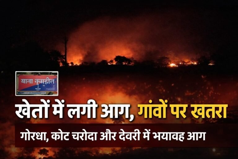 कसडोल थाना क्षेत्र के गोरधा, कोट चरौदा और देवरी के खेतों में लगी आग, गांव तक पहुंचने का बढ़ा खतरा