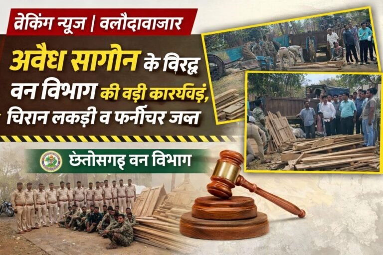 अवैध सागौन के विरुद्ध वन विभाग की बड़ी कार्रवाई, चिरान लकड़ी व फर्नीचर जब्त