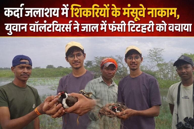 कर्दा जलाशय में शिकारियों के मंसूबे नाकाम, युवान वॉलंटियर्स ने जाल में फंसी टिटहरी को बचाया