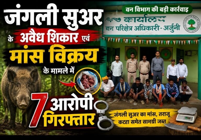 जंगली सुअर के अवैध शिकार और मांस विक्रय मामले में 7 आरोपी गिरफ्तार