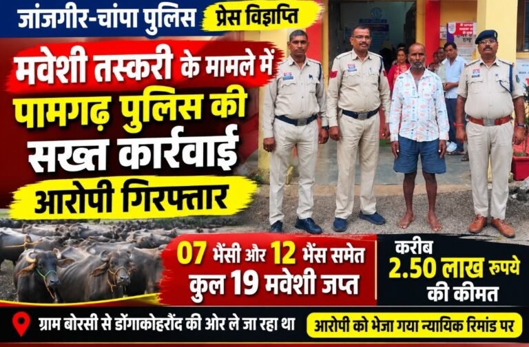 मवेशी तस्करी पर पामगढ़ पुलिस की बड़ी कार्रवाई, आरोपी गिरफ्तार